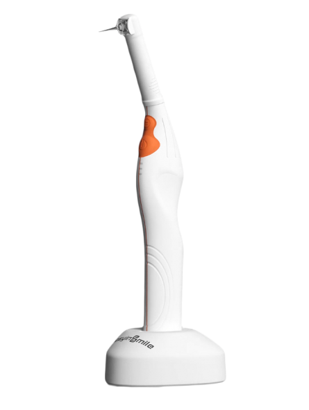 Text